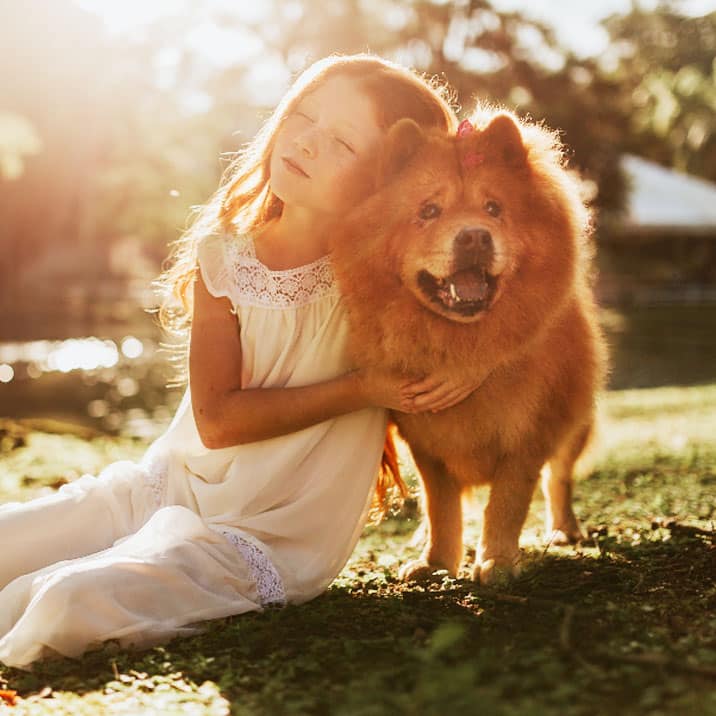 Torção do estômago em cães: o que há a saber?