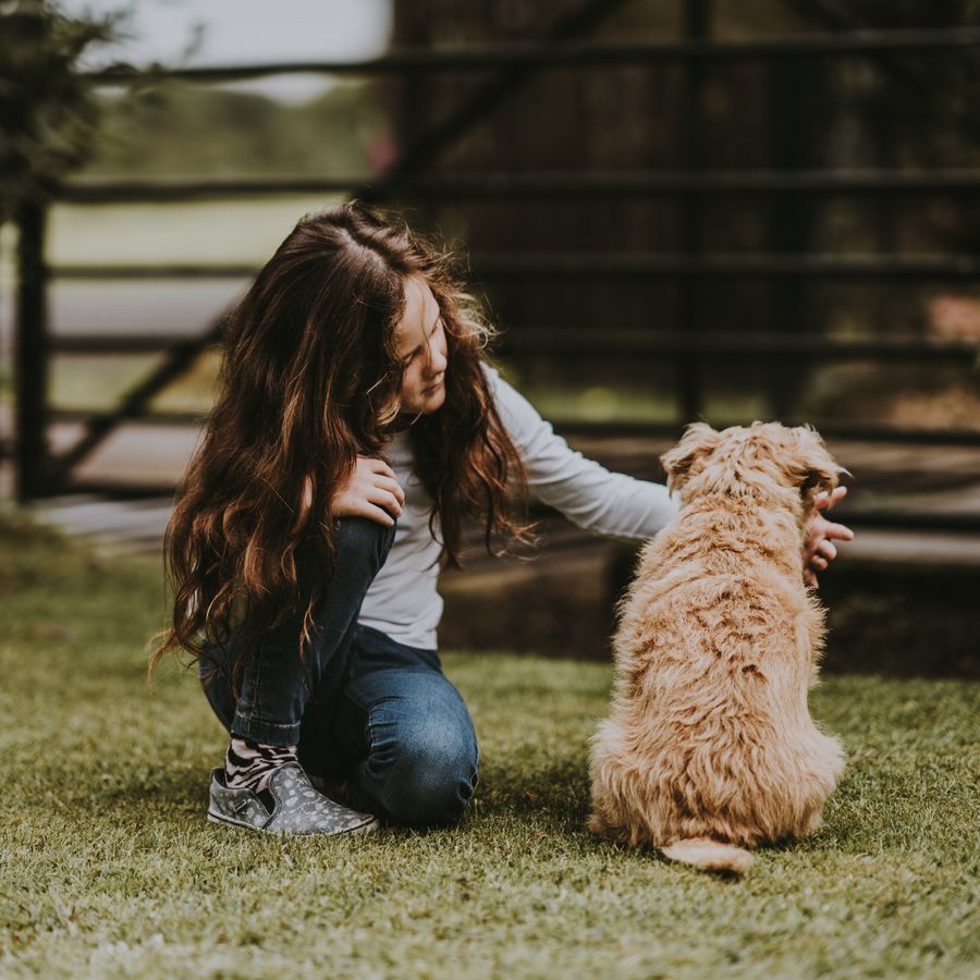 Cães e crianças: 4 principais benefícios