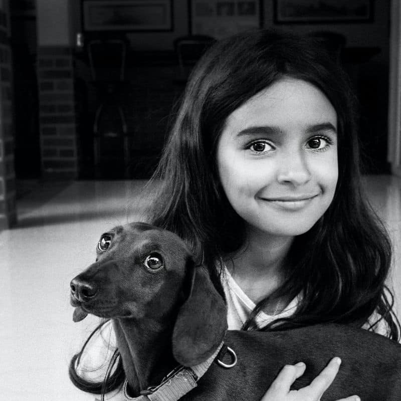 Razze di cani adatte ai bambini, scopriamo quali sono