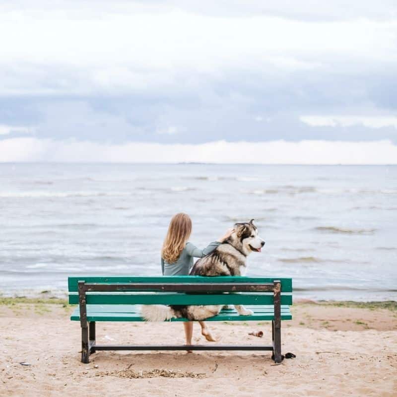 Il mio cane ha problemi articolari. Come aiutarlo?