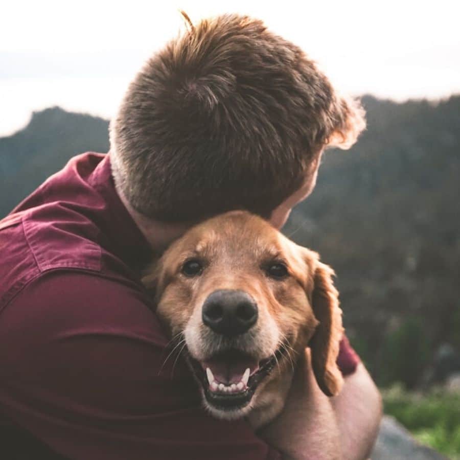 Quali malattie umane possono essere trasmesse agli animali?