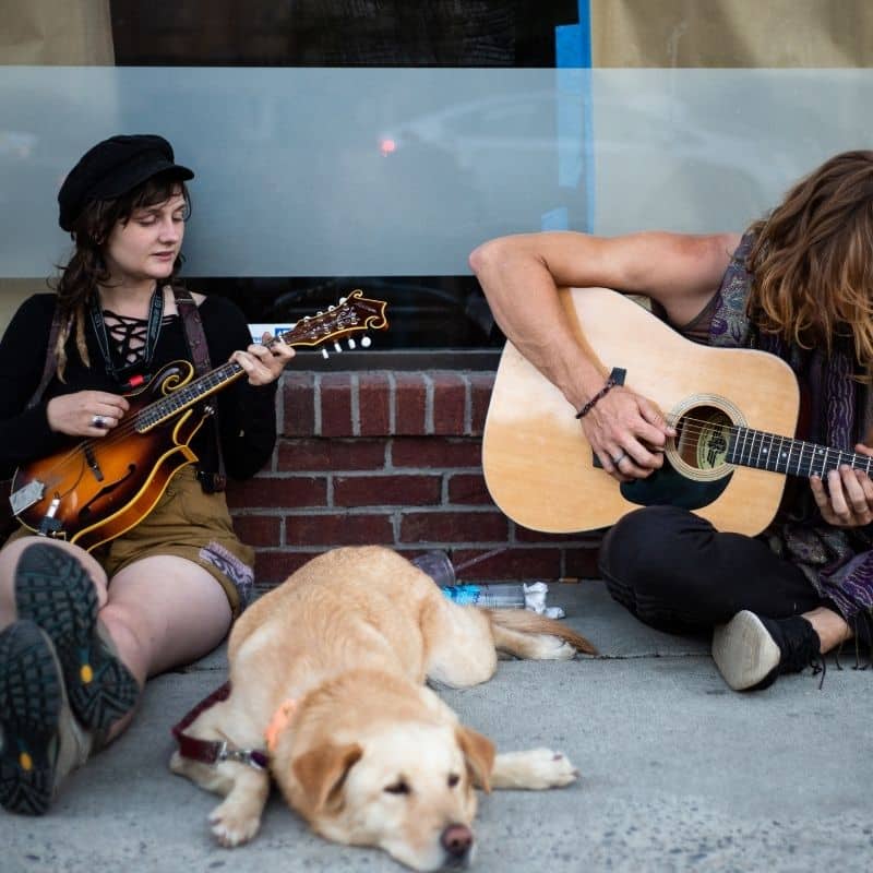 Ai cani piace la musica?