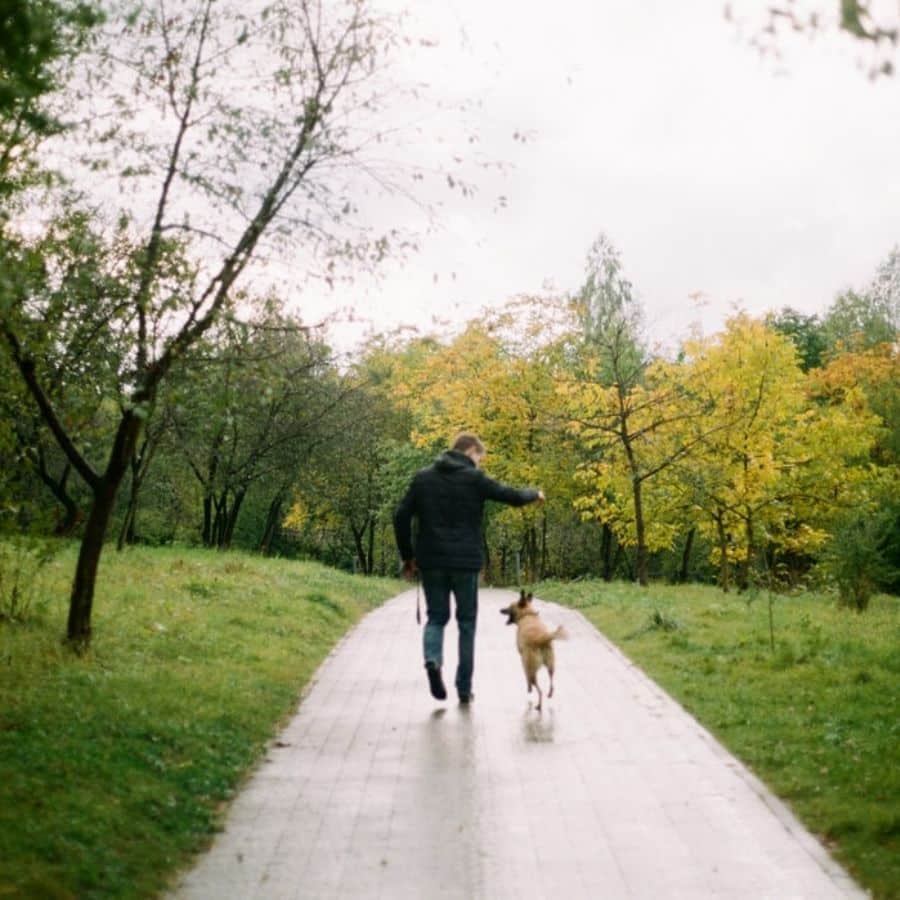 Posso uscire col mio cane in questo periodo di quarantena?