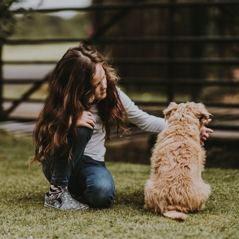 Cinofobia: como ultrapassar o medo de cães?