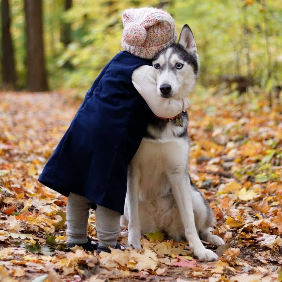 Saiba porque não deve deixar o seu cão dar-lhe beijos na cara