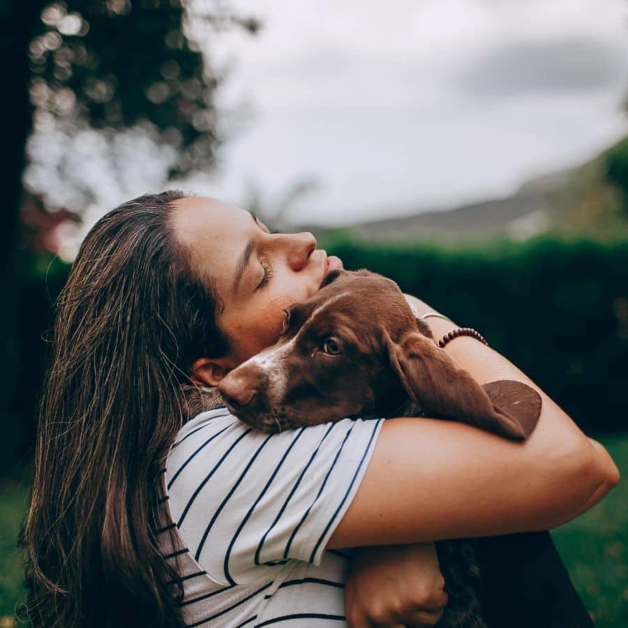 Como é que os cães escolhem a sua pessoa favorita?