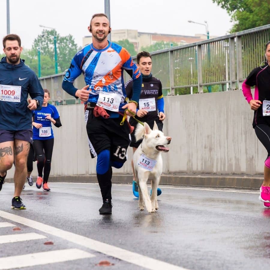 Canicross: Entrenamiento para perros y dueños