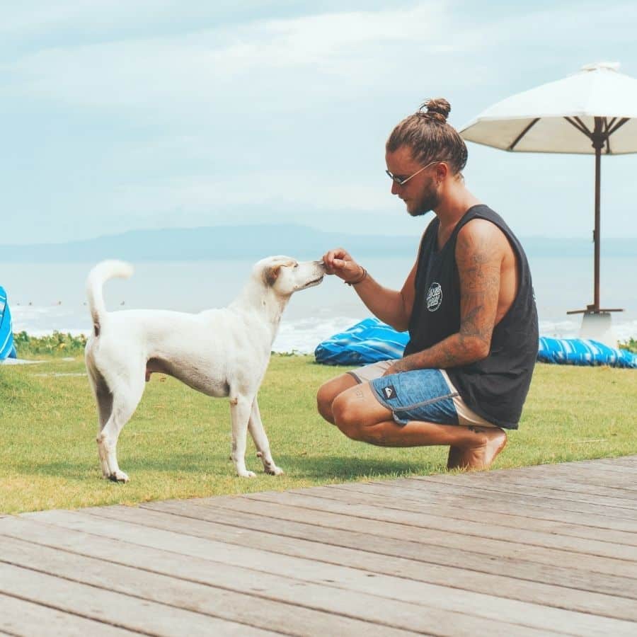 Pet therapy: di cosa si tratta, come funziona e quali sono i suoi benefici