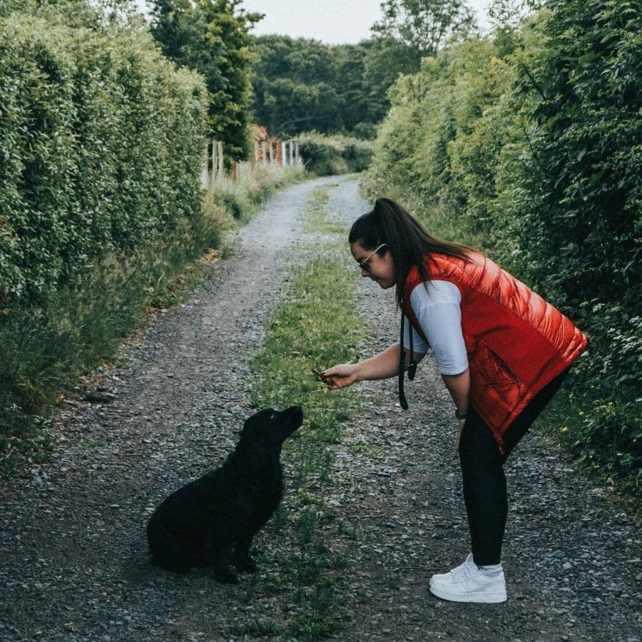 Clicker para perros, todo lo que debes saber