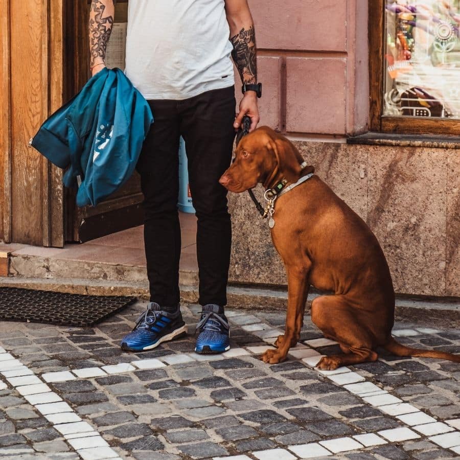 ¿Por qué algunos perros se sientan sobre los pies de la gente?