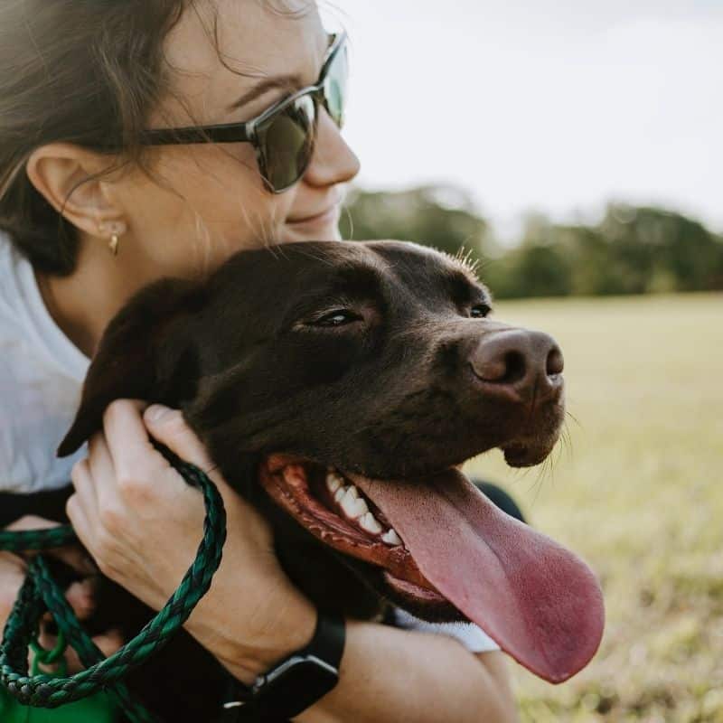 Um dia dedicado ao seu cão: atividades que pode fazer com ele de manhã à noite