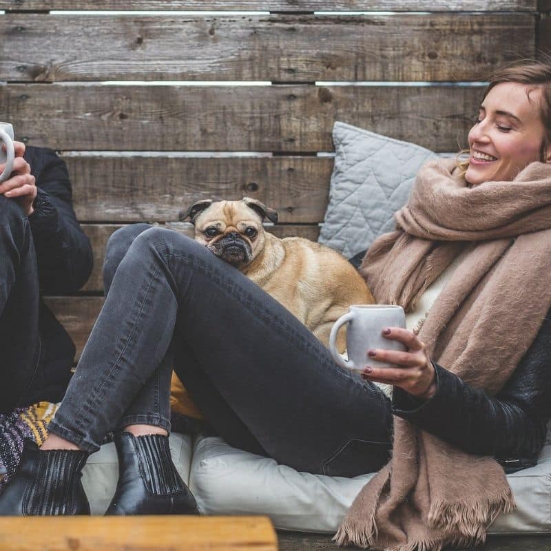 Un día dedicado a tu perro: actividades que puedes hacer con él desde por la mañana hasta por la noche