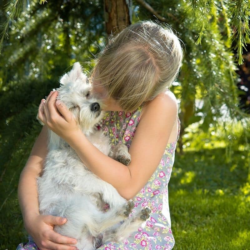 Frases de amor dedicadas a tu perro - Blog Barkyn
