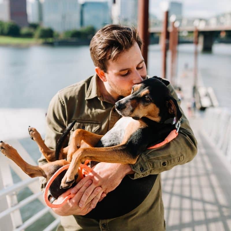 Frasi d’amore dedicate al tuo cane