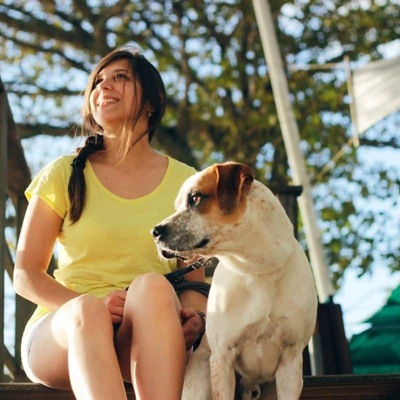 Como é que os cães entendem os nossos sentimentos?