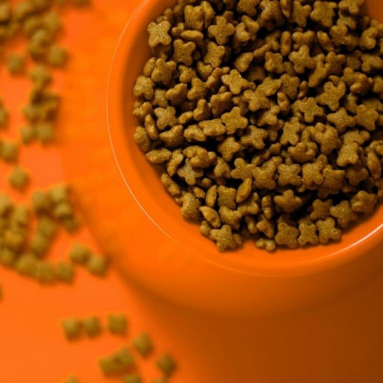 Comida para perros sin cereales – Barkyn