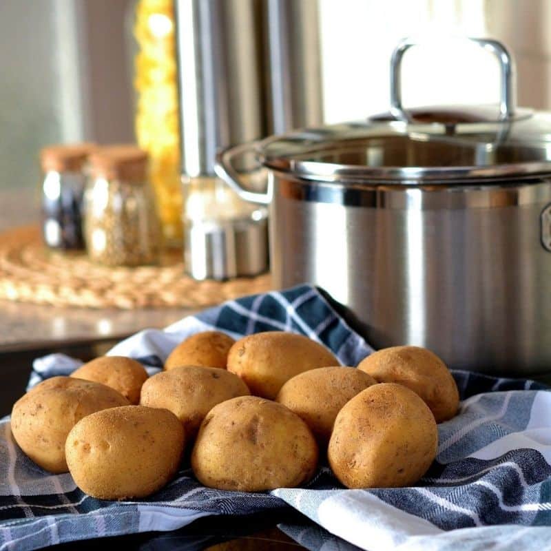 ¿Los perros pueden comer patatas?