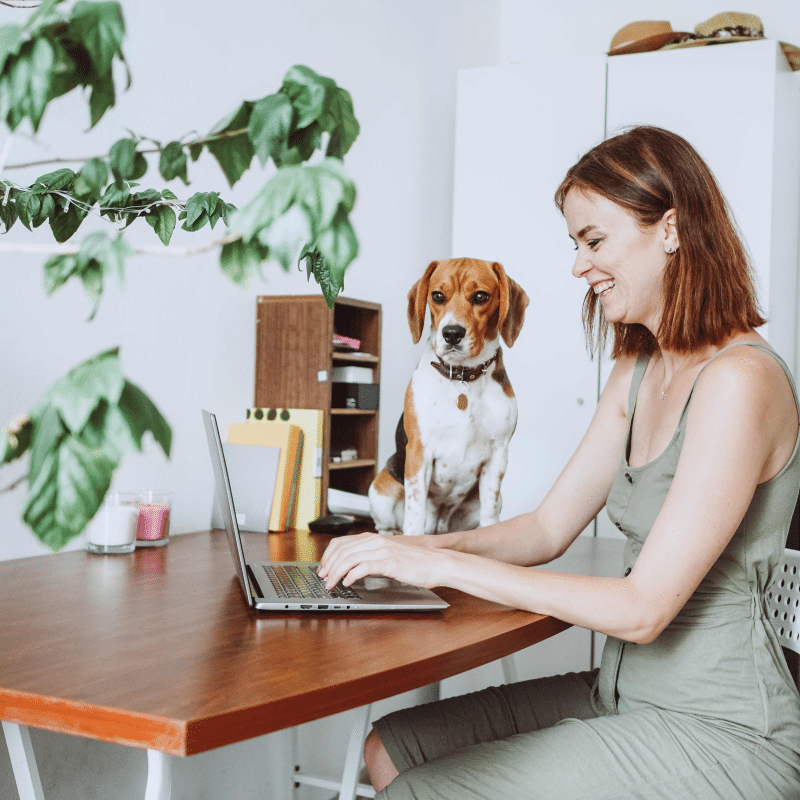 As vantagens para a saúde de trabalhar em casa com um cão