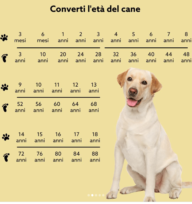 Sai quanti anni ha il tuo cane?