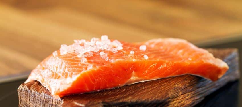 aceite de salmon para perros