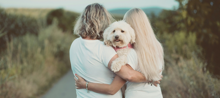 Perché il cane si mette in mezzo quando ci abbracciamo, gelosia?